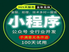 专业团队 网站建设