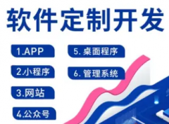 软件开发 小程序开发